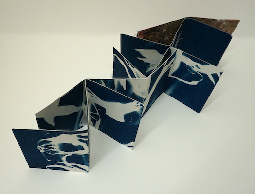 "Chiasma: Sine Out of Time" double-sided cyanotypes on cotton paper, with cover of kozo and cotton construction paper, $400