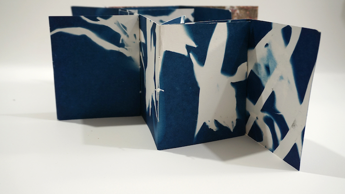 "Chiasma: Sine Out of Time" double-sided cyanotypes on cotton paper, with cover of kozo and cotton construction paper, $400