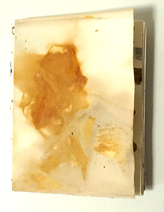 "Migration" Six hand-drawn signatures bound dos-a-dos to a folded eco-printed page. $300