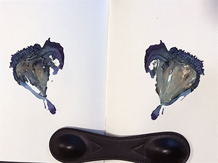 unique bearded iris print, 9.5 in. x 15.25 in.