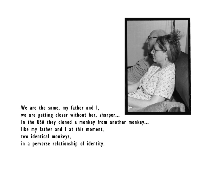 clones 2 by stephanie damoff