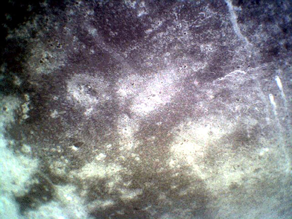 Bus Shelter, from the Mundane Landscape series