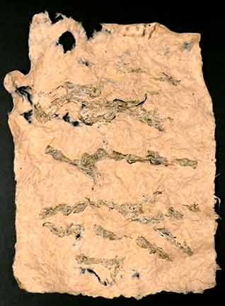 "Asemic Writing," Ohio milkweed and gampi.