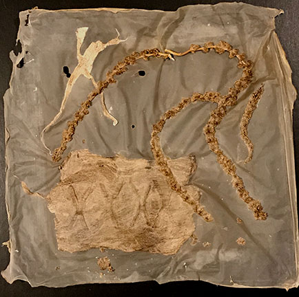 unique handmade paper with abaca, kozo, love lies bleeding, $300. 2019