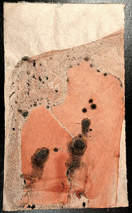 "At the Core I" Etching ink on kitakata, 10 in. x 17.5 in. $200