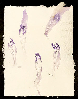 crocus on handmade cotton paper